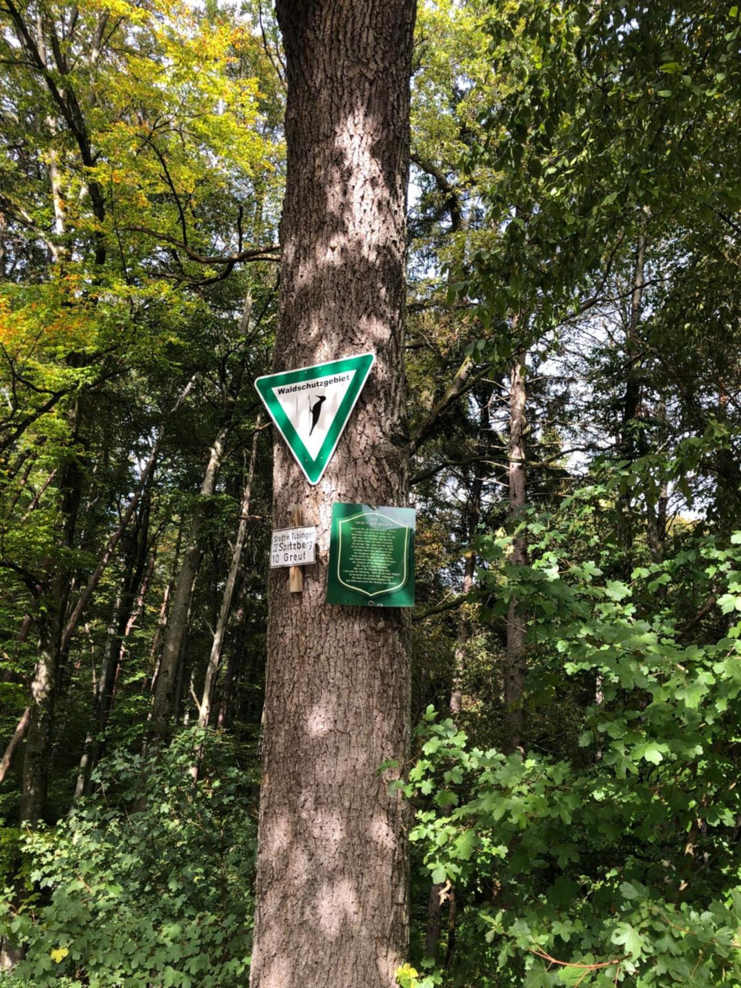 Ferienwohnung Ferien im Karlstal Haigerloch Exterior foto