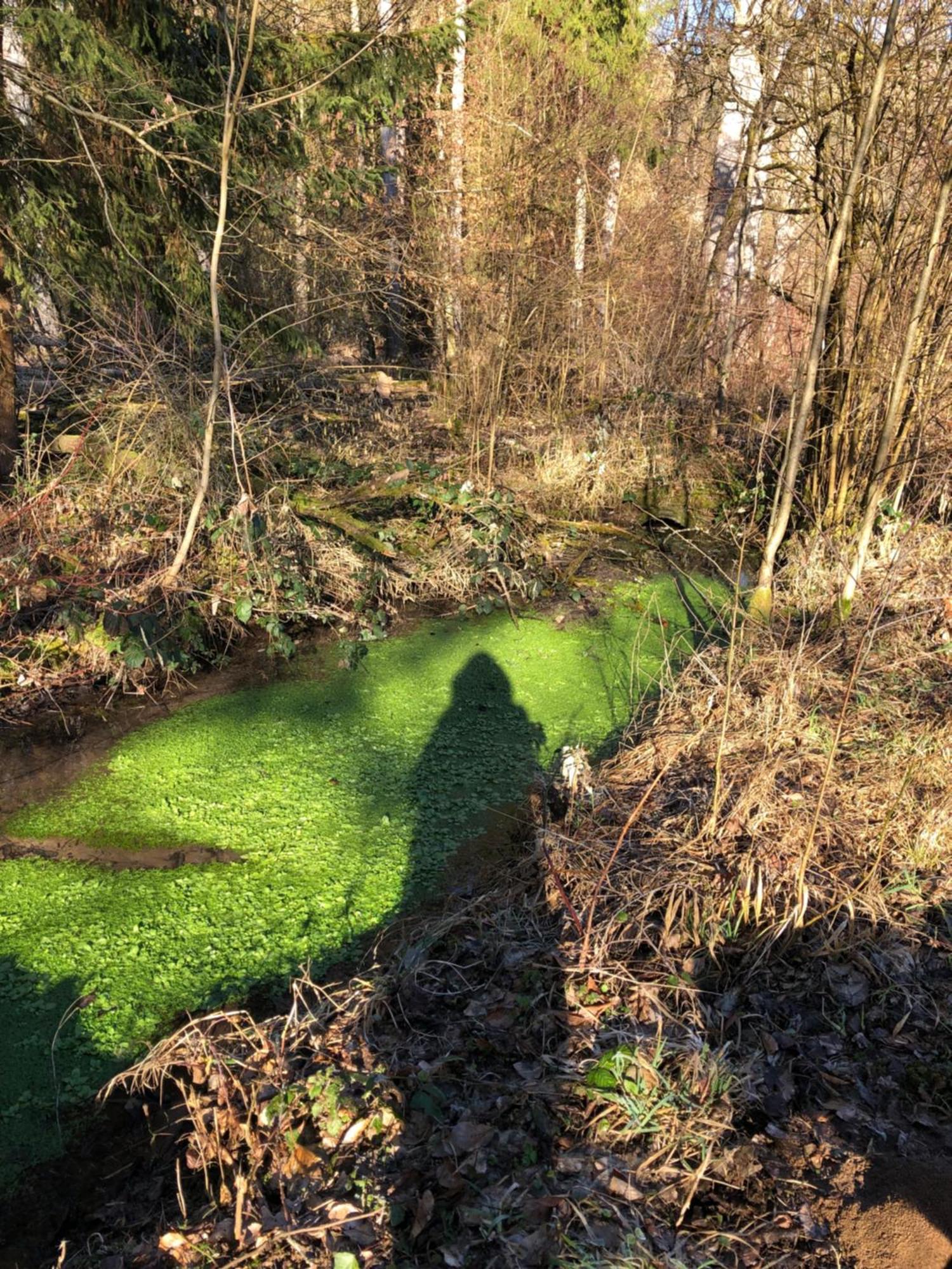 Ferienwohnung Ferien im Karlstal Haigerloch Exterior foto